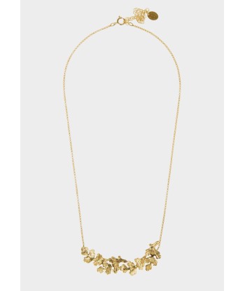 COLLIER WINDSOR MEDIUM Comparez plus de prix