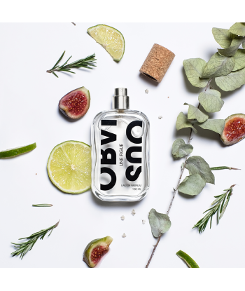 EAU DE PARFUM FIGUE 100ML la livraison gratuite